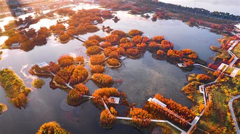 如何去獅首魚尾公園：探秘奇妙的旅行路徑及其周遊樂趣